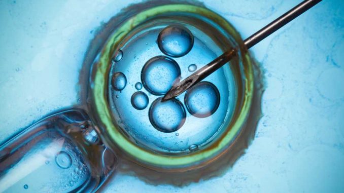 umele-oplodneni-vajicko-ivf-neplodnost-reprodukcni-klinika Umělé oplodnění, Genetické testování vajíček pro neplodné páry